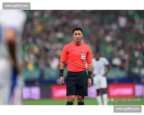 马宁三红风暴：铁腕执法的权威与代价